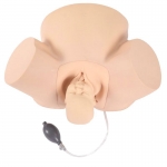 高級難產(chǎn)示教訓練模型