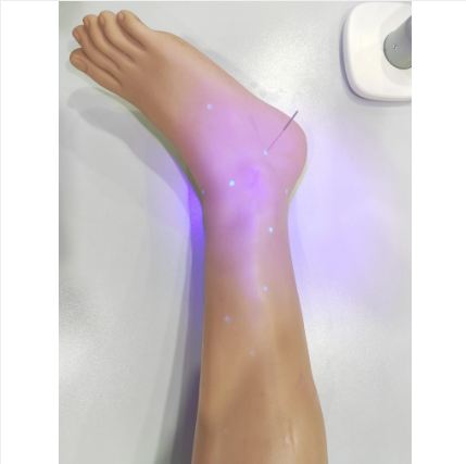 中醫(yī)針灸下肢訓(xùn)練教學(xué)系統(tǒng) 