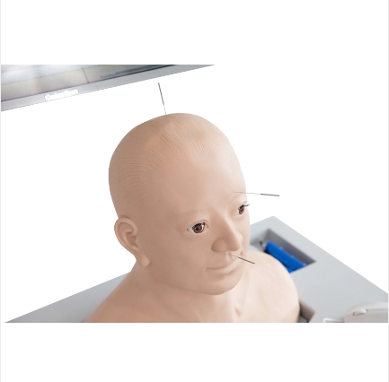 中醫(yī)頭部針灸、按摩綜合考評系統(tǒng) 