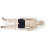 中醫(yī)針灸仿真模擬人