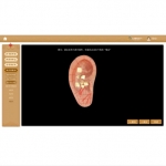 中醫(yī)耳穴埋籽3D虛擬實(shí)訓(xùn)系統(tǒng) 