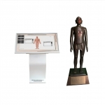 多媒體針灸穴位發(fā)光銅人交互平臺(tái)((純58銅)120 公斤