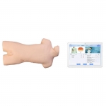 交互式骨髓穿刺操作訓(xùn)練模型（平板無線系列）