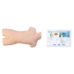  交互式腹腔穿刺操作訓(xùn)練模型（平板無線系列）