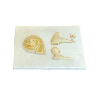 內(nèi)耳、聽小骨及骨膜放大模型