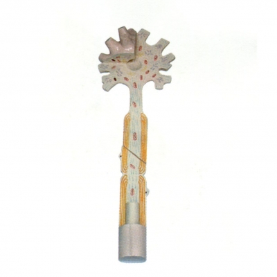 神經(jīng)元模型