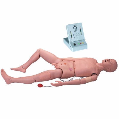  高級(jí)成人護(hù)理及CPR模型人