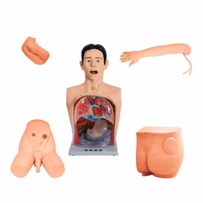  豪華型基礎(chǔ)護(hù)理模型