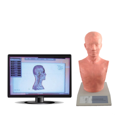 經穴及針刺仿真訓練系統(tǒng)