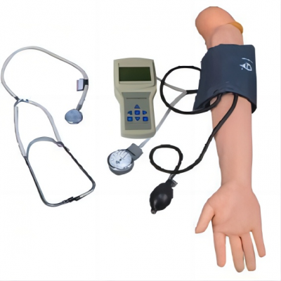 高級手臂血壓測量訓(xùn)練模型