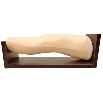 高級(jí)膝關(guān)節(jié)腔內(nèi)注射模型