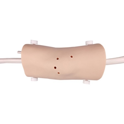 膝關節(jié)鏡檢查模型