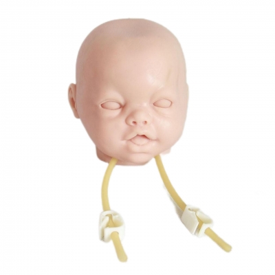 高級嬰兒頭部雙側(cè)靜脈注射穿刺訓練模型