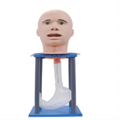 高級(jí)成人洗胃模型