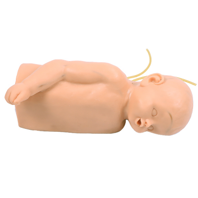 高級嬰兒頭部及手臂靜脈注射訓練模型