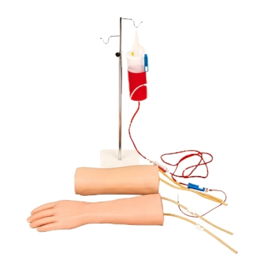 手部、肘部組合式靜脈輸液（血）訓(xùn)練模型