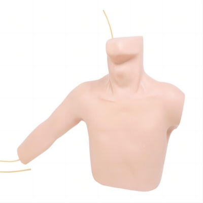 外周穿刺、中心靜脈穿剌插管模型