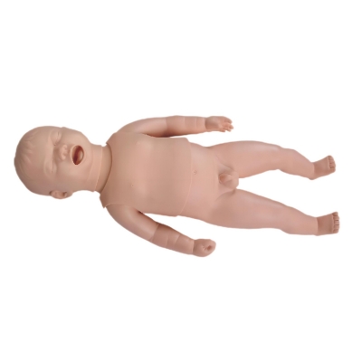 新生兒生長指標(biāo)評定及護(hù)理訓(xùn)練模型