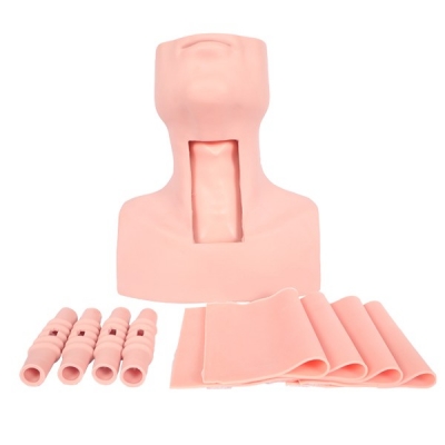 高級(jí)環(huán)甲膜穿刺及氣管切開(kāi)訓(xùn)練模型