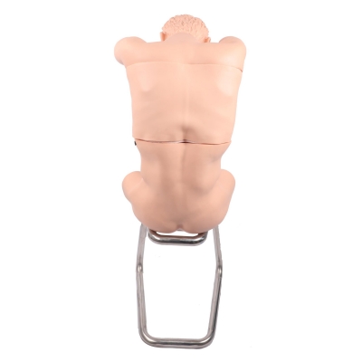 胸腔（背部）穿刺訓(xùn)練模型