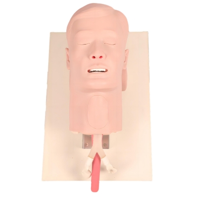 環(huán)甲膜穿刺和切開(kāi)仿真模型