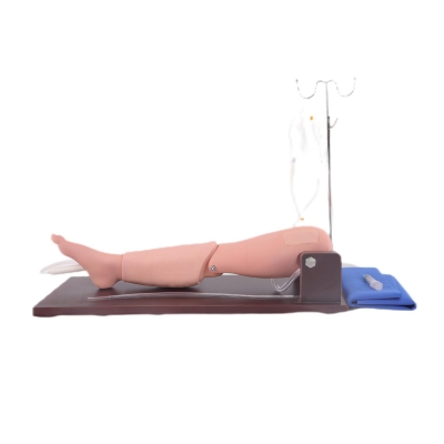 高級(jí)骨穿刺及股靜脈穿刺模型