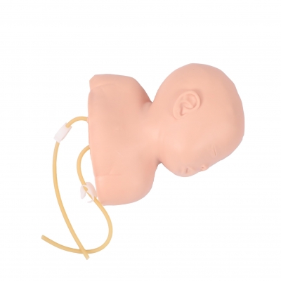 高級嬰兒頭部靜脈穿刺訓練示教模型