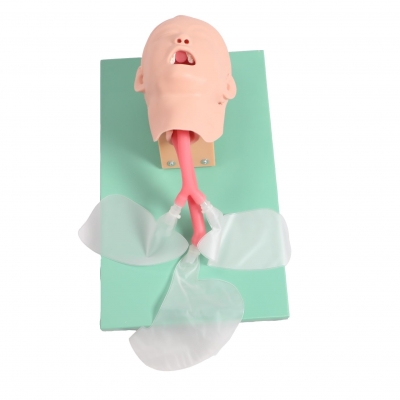 高級(jí)兒童氣管插管模型