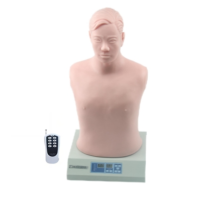 數(shù)字遙控式電腦胸部心肺聽診模擬人