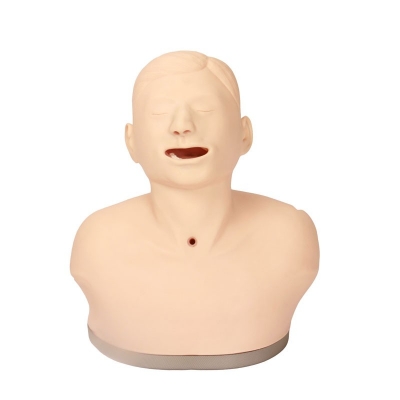 高級(jí)成人氣管切開(kāi)護(hù)理模型