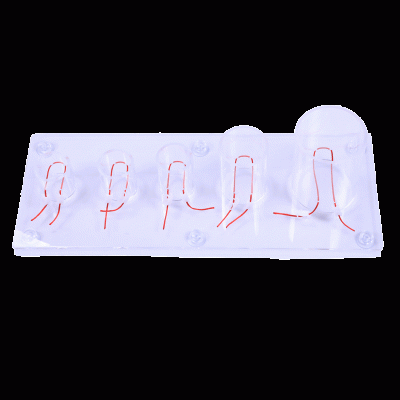 高級深部張力打結(jié)技能訓練模型