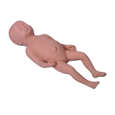 高級足月胎兒模型(男嬰、女嬰任選)