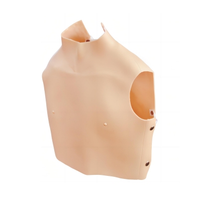 心肺聽診訓(xùn)練模型