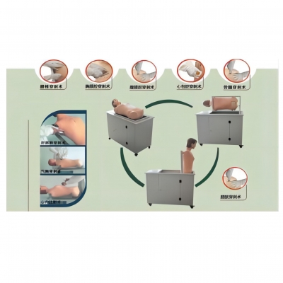 高級全自動多種穿刺叩診電腦模擬人