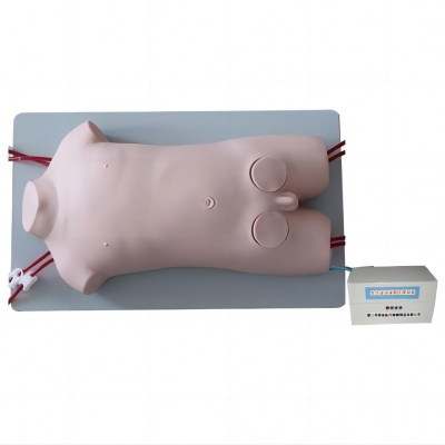 兒童股靜脈與股動(dòng)脈穿刺電動(dòng)模型