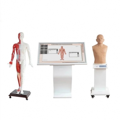 中醫(yī)穴位訓(xùn)練、針灸仿真一體訓(xùn)練系統(tǒng) 