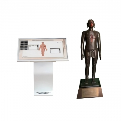 多媒體針灸穴位發(fā)光銅人交互平臺((純58銅)120 公斤
